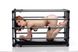 Прочная разборная клетка для наказаний Kennel Adjustable Bondage Cage 3 из 4