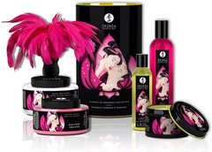 купити Подарочный набор Shunga Romance Cosmetic Kit SO4497 фото