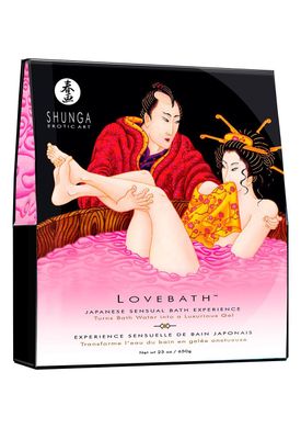 купити Гель для ванни Shunga LOVEBATH – Dragon Fruit 650 гр, робить воду ароматним желе зі SPA ефектом SO2544 фото