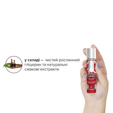 купити Різдвяний набір лубрикантів System JO Naughty or Nice Gift Set – Candy Cane & Gingerbread (2×30 мл) SO6163 фото