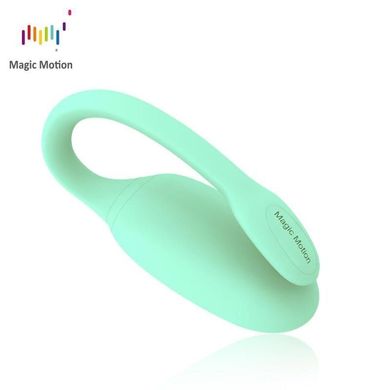 купити Смарт-тренажер Кегеля Magic Motion Kegel Rejuve, бюджетний варіант, для тренувань і задоволення SO3114 фото