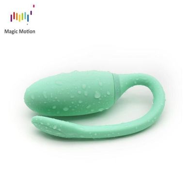 купить Смарт-тренажер Кегеля Magic Motion Kegel Rejuve, бюджетний варіант, для тренувань і задоволення SO3114 фото