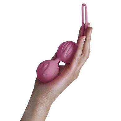 купити Вагінальні кульки Adrien Lastic Geisha Lastic Balls BIG Pink (L), діаметр 4 см, вага 90 гр AD40301 фото