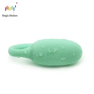 купити Смарт-тренажер Кегеля Magic Motion Kegel Rejuve, бюджетний варіант, для тренувань і задоволення SO3114 фото