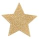 Пэстис - стикини Bijoux Indiscrets - Flash Star Gold, наклейки на соски 2 из 3