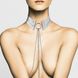 Украшение Bijoux Indiscrets Desir Metallique Collar - Silver 2 з 2