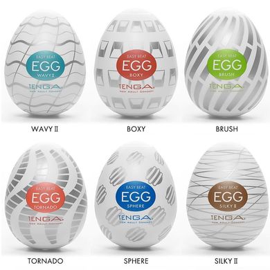 купити Набір яєць-мастурбаторів Tenga Egg New Standard Pack (6 яєць) SO5493 фото