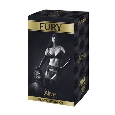 купить Набір для BDSM Alive FURY Black BDSM Kit, 10 предметів SO6324 фото